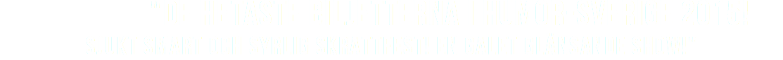  "DE HETASTE BILJETTERNA I HUMOR-SVERIGE 2015! SJUKT SMART OCH SYRLIG SKRATTFEST! EN GALET GLÄNSANDE SHOW!" 